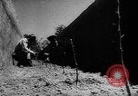 Image of Horticulture in USSR Russia Soviet Union, 1949, second 51 stock footage video 65675054030