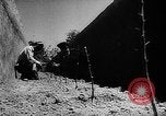 Image of Horticulture in USSR Russia Soviet Union, 1949, second 52 stock footage video 65675054030