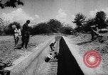 Image of Horticulture in USSR Russia Soviet Union, 1949, second 53 stock footage video 65675054030