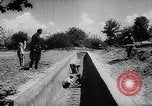 Image of Horticulture in USSR Russia Soviet Union, 1949, second 54 stock footage video 65675054030