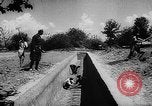 Image of Horticulture in USSR Russia Soviet Union, 1949, second 55 stock footage video 65675054030