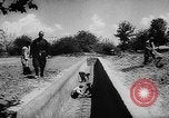 Image of Horticulture in USSR Russia Soviet Union, 1949, second 56 stock footage video 65675054030