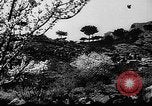 Image of Climbing Ai-Petri peak Crimea Soviet Union, 1949, second 13 stock footage video 65675054031