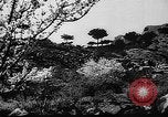 Image of Climbing Ai-Petri peak Crimea Soviet Union, 1949, second 16 stock footage video 65675054031