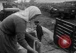 Immagine di Le consegne di granella L'Ucraina, 1946, secondo 40 filmato di repertorio 65675054034