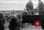 Immagine di Le consegne di granella L'Ucraina, 1946, secondo 41 filmato di repertorio 65675054034