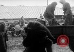 Immagine di Le consegne di granella L'Ucraina, 1946, secondo 42 filmato di repertorio 65675054034