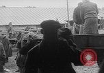Immagine di Le consegne di granella L'Ucraina, 1946, secondo 56 filmato di repertorio 65675054034