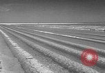Image of Lake Baskunchak Astrakhan Russia Soviet Union, 1946, second 6 stock footage video 65675054036