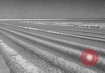 Image of Lake Baskunchak Astrakhan Russia Soviet Union, 1946, second 7 stock footage video 65675054036