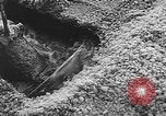 Image of Lake Baskunchak Astrakhan Russia Soviet Union, 1946, second 13 stock footage video 65675054036