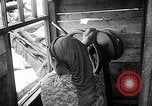 Image of Lake Baskunchak Astrakhan Russia Soviet Union, 1946, second 19 stock footage video 65675054036