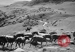 Standbild Kirgisien kirgisischen Sozialistischen Republik, 1946, aus Sekunde 11 historischem Filmmaterial Videoclip 65675054037