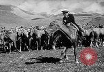 Standbild Kirgisien kirgisischen Sozialistischen Republik, 1946, aus Sekunde 20 historischem Filmmaterial Videoclip 65675054037