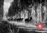 Standbild Kirgisien kirgisischen Sozialistischen Republik, 1946, aus Sekunde 35 historischem Filmmaterial Videoclip 65675054037