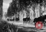Standbild Kirgisien kirgisischen Sozialistischen Republik, 1946, aus Sekunde 40 historischem Filmmaterial Videoclip 65675054037