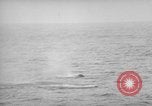 Standbild USS philippinischen Meer Korea, 1950, aus Sekunde 57 historischem Filmmaterial Videoclip 65675054052