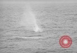 Standbild USS philippinischen Meer Korea, 1950, aus Sekunde 58 historischem Filmmaterial Videoclip 65675054052