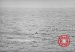 Standbild USS philippinischen Meer Korea, 1950, aus Sekunde 60 historischem Filmmaterial Videoclip 65675054052