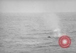 Standbild USS philippinischen Meer Korea, 1950, aus Sekunde 61 historischem Filmmaterial Videoclip 65675054052