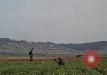 Standbild Schützenpanzer Deutschland, 1970, aus Sekunde 30 historischem Filmmaterial Videoclip 65675054058