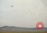 Image of bomb explosion Germany, 1970, second 12 stock footage video 65675054060