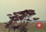 Image of bomb explosion Germany, 1970, second 20 stock footage video 65675054060