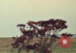 Image of bomb explosion Germany, 1970, second 21 stock footage video 65675054060