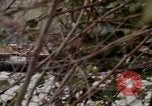 Image of missile carriers Germany, 1970, second 6 stock footage video 65675054064