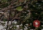 Image of missile carriers Germany, 1970, second 9 stock footage video 65675054064