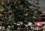 Image of missile carriers Germany, 1970, second 10 stock footage video 65675054064