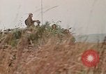 Image of missile carriers Germany, 1970, second 45 stock footage video 65675054064