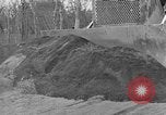 Standbild Vesuv Italien, 1944, aus Sekunde 8 historischem Filmmaterial Videoclip 65675054107