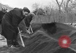 Standbild Vesuv Italien, 1944, aus Sekunde 61 historischem Filmmaterial Videoclip 65675054107