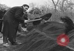 Standbild Vesuv Italien, 1944, aus Sekunde 62 historischem Filmmaterial Videoclip 65675054107