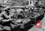 Image of Coal miners United States USA, 1934, second 11 stock footage video 65675054116