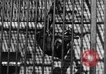 Image of Families at Central Park Zoo New York City USA, 1948, second 32 stock footage video 65675054120