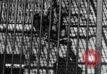 Image of Families at Central Park Zoo New York City USA, 1948, second 33 stock footage video 65675054120