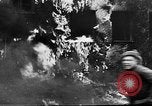 Image of Soviet forces wreak destruction as they enter Berlin near the end of World War 2 Germany, 1945, second 23 stock footage video 65675054125