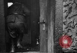 Image of Soviet forces wreak destruction as they enter Berlin near the end of World War 2 Germany, 1945, second 45 stock footage video 65675054125