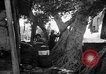 Image of native women Okinawa Ryukyu Islands, 1955, second 1 stock footage video 65675054144