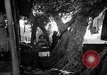 Image of native women Okinawa Ryukyu Islands, 1955, second 3 stock footage video 65675054144