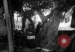 Image of native women Okinawa Ryukyu Islands, 1955, second 7 stock footage video 65675054144