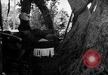 Image of native women Okinawa Ryukyu Islands, 1955, second 8 stock footage video 65675054144