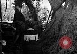 Image of native women Okinawa Ryukyu Islands, 1955, second 9 stock footage video 65675054144
