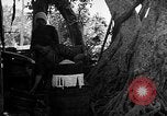 Image of native women Okinawa Ryukyu Islands, 1955, second 10 stock footage video 65675054144