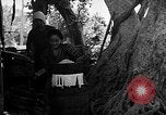 Image of native women Okinawa Ryukyu Islands, 1955, second 11 stock footage video 65675054144