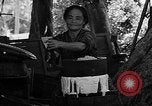 Image of native women Okinawa Ryukyu Islands, 1955, second 19 stock footage video 65675054144