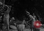 Image of native women Okinawa Ryukyu Islands, 1955, second 38 stock footage video 65675054144