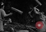Image of native women Okinawa Ryukyu Islands, 1955, second 40 stock footage video 65675054144
